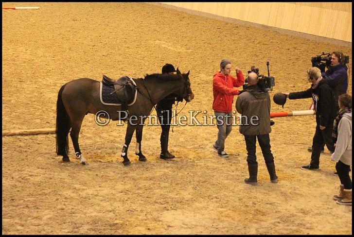 RAMASJANG LIVE PÅ VILHELMSBORG .. billede 85