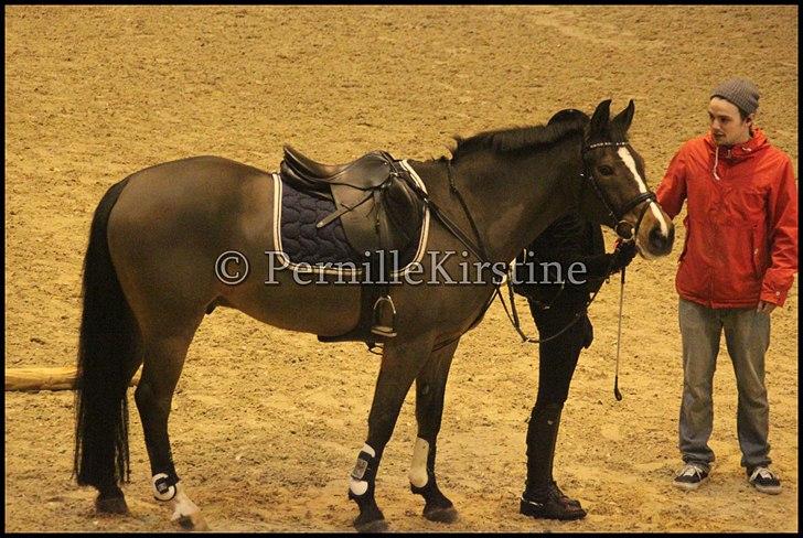 RAMASJANG LIVE PÅ VILHELMSBORG .. billede 86