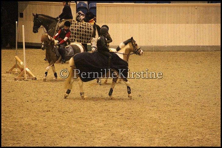 RAMASJANG LIVE PÅ VILHELMSBORG .. billede 87