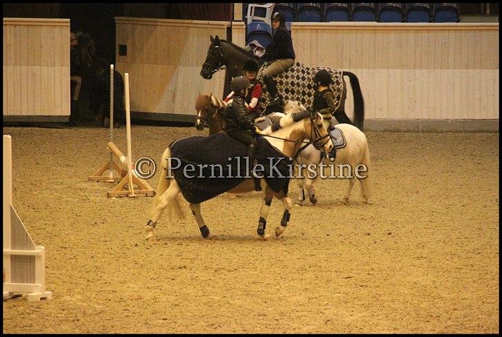 RAMASJANG LIVE PÅ VILHELMSBORG .. billede 88