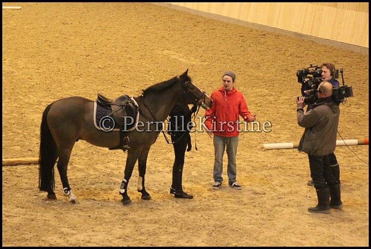 RAMASJANG LIVE PÅ VILHELMSBORG .. billede 89