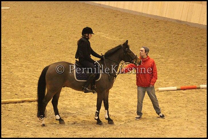 RAMASJANG LIVE PÅ VILHELMSBORG .. billede 90