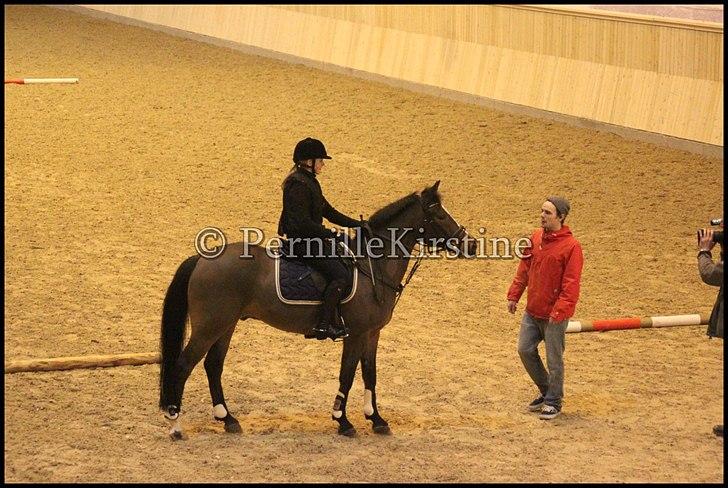 RAMASJANG LIVE PÅ VILHELMSBORG .. billede 91