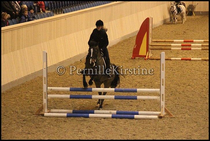 RAMASJANG LIVE PÅ VILHELMSBORG .. billede 92