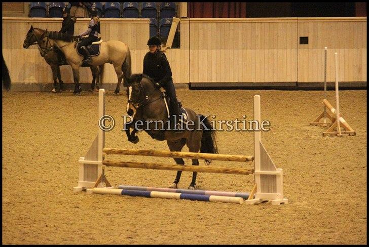 RAMASJANG LIVE PÅ VILHELMSBORG .. billede 93