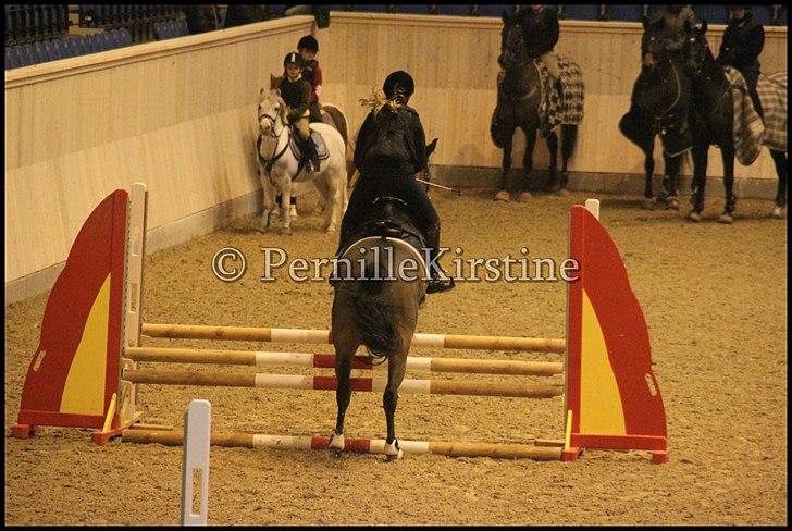 RAMASJANG LIVE PÅ VILHELMSBORG .. billede 94