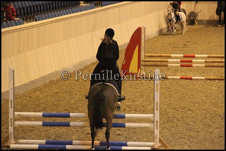 RAMASJANG LIVE PÅ VILHELMSBORG .. billede 95