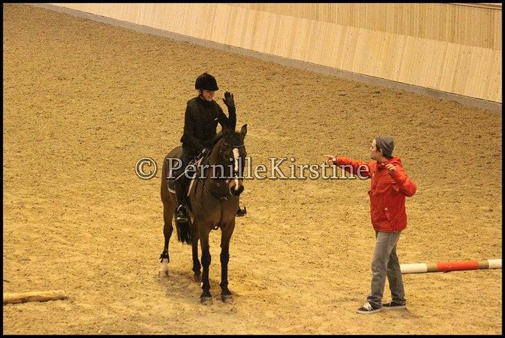 RAMASJANG LIVE PÅ VILHELMSBORG .. billede 96