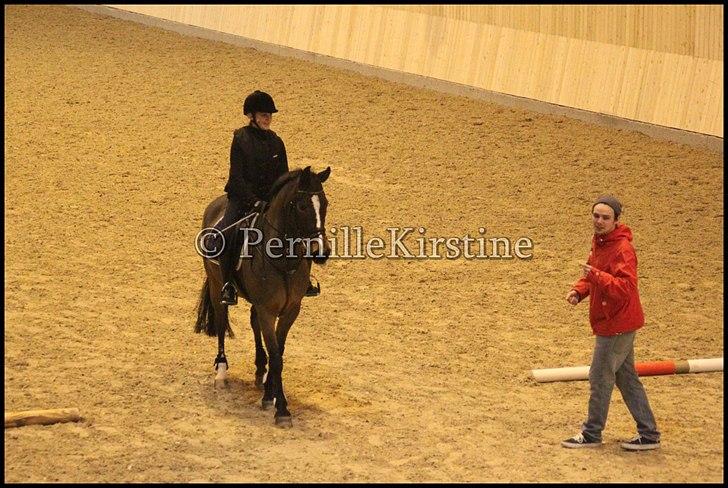 RAMASJANG LIVE PÅ VILHELMSBORG .. billede 97