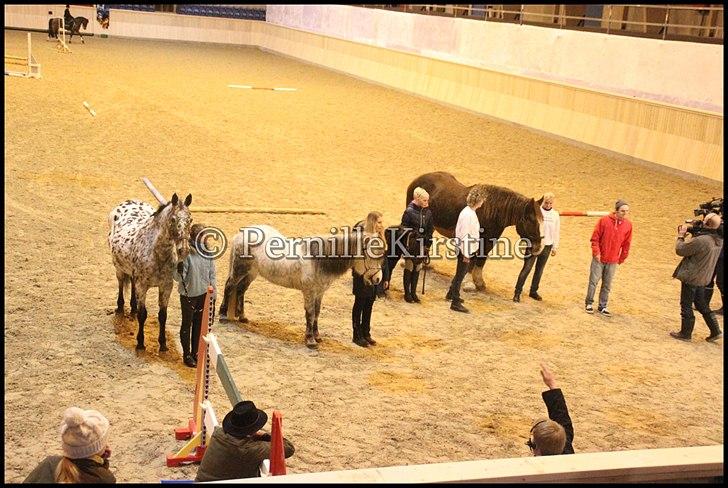 RAMASJANG LIVE PÅ VILHELMSBORG .. billede 99