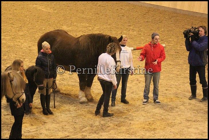 RAMASJANG LIVE PÅ VILHELMSBORG .. billede 100