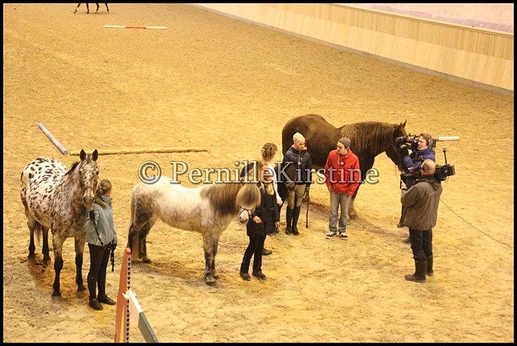 RAMASJANG LIVE PÅ VILHELMSBORG .. billede 105
