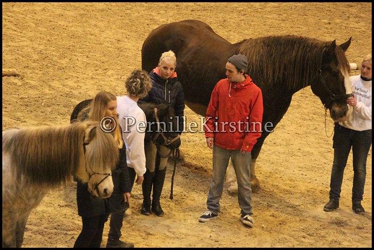 RAMASJANG LIVE PÅ VILHELMSBORG .. billede 106