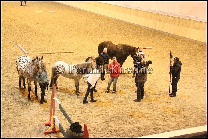 RAMASJANG LIVE PÅ VILHELMSBORG .. billede 108