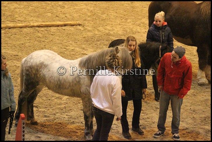RAMASJANG LIVE PÅ VILHELMSBORG .. billede 110
