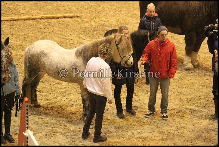 RAMASJANG LIVE PÅ VILHELMSBORG .. billede 111