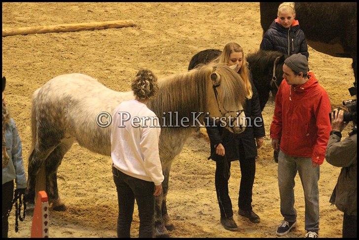 RAMASJANG LIVE PÅ VILHELMSBORG .. billede 112