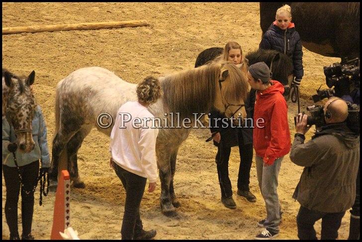 RAMASJANG LIVE PÅ VILHELMSBORG .. billede 113