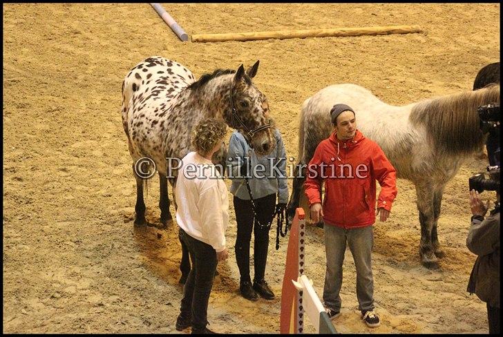 RAMASJANG LIVE PÅ VILHELMSBORG .. billede 114