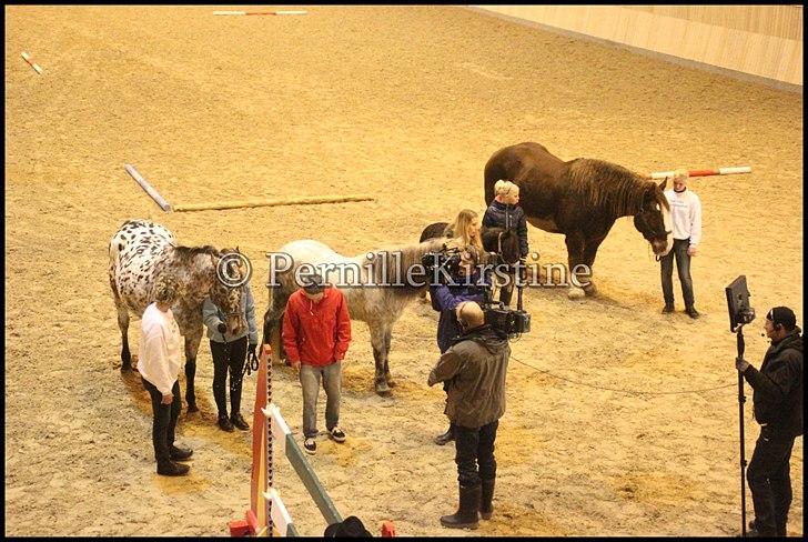 RAMASJANG LIVE PÅ VILHELMSBORG .. billede 115