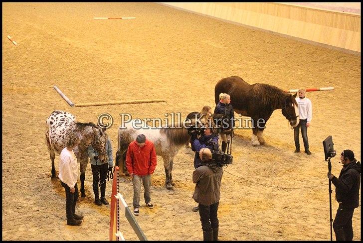 RAMASJANG LIVE PÅ VILHELMSBORG .. billede 116