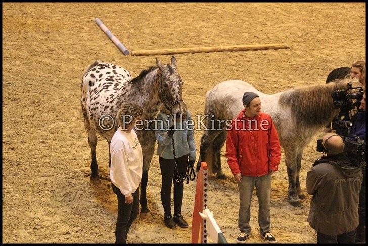 RAMASJANG LIVE PÅ VILHELMSBORG .. billede 117