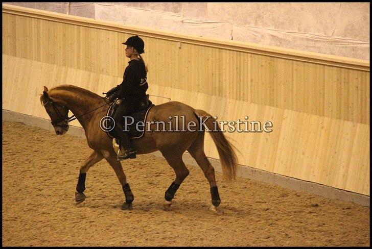 RAMASJANG LIVE PÅ VILHELMSBORG .. billede 119