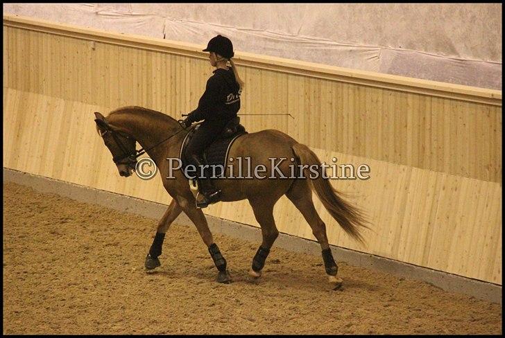 RAMASJANG LIVE PÅ VILHELMSBORG .. billede 120