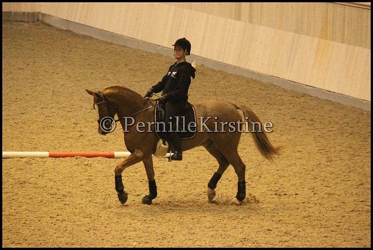 RAMASJANG LIVE PÅ VILHELMSBORG .. billede 121