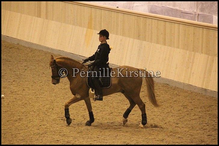 RAMASJANG LIVE PÅ VILHELMSBORG .. billede 122