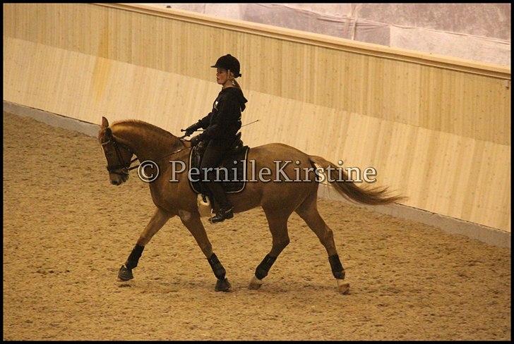 RAMASJANG LIVE PÅ VILHELMSBORG .. billede 123