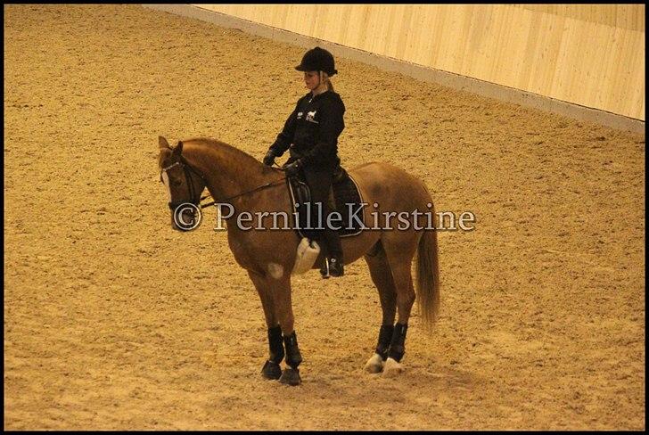 RAMASJANG LIVE PÅ VILHELMSBORG .. billede 124