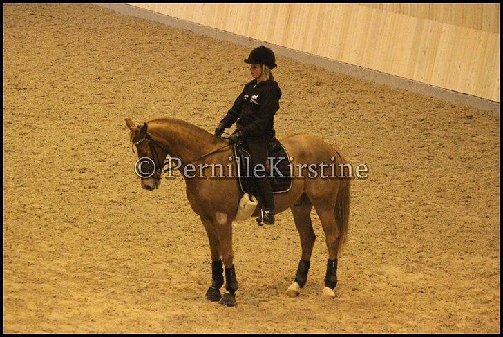 RAMASJANG LIVE PÅ VILHELMSBORG .. billede 125