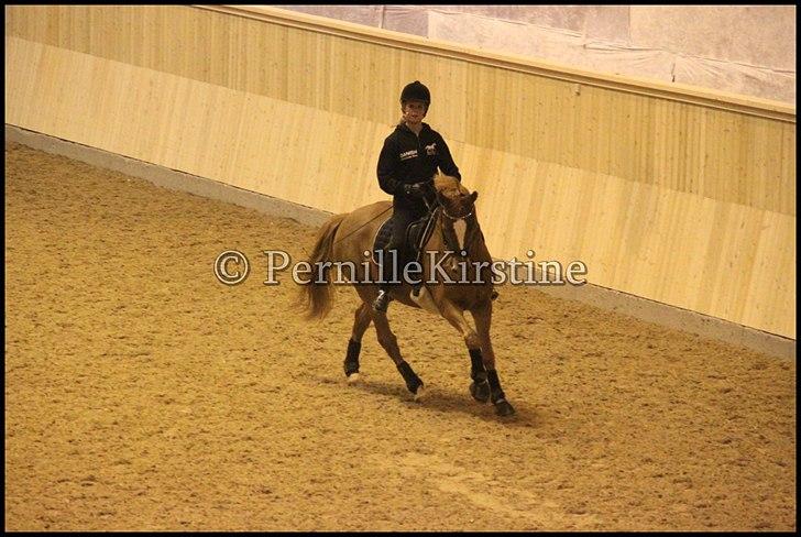 RAMASJANG LIVE PÅ VILHELMSBORG .. billede 127