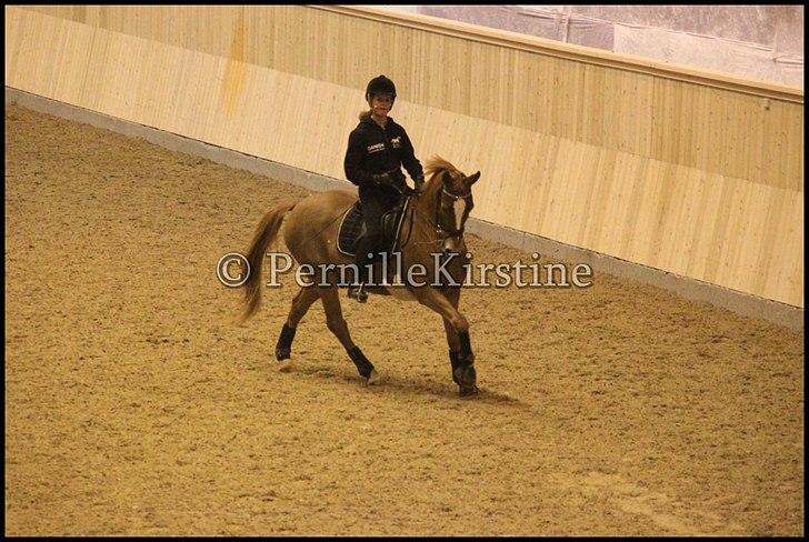 RAMASJANG LIVE PÅ VILHELMSBORG .. billede 128