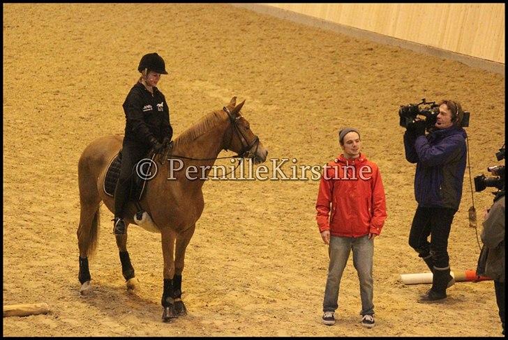 RAMASJANG LIVE PÅ VILHELMSBORG .. billede 129