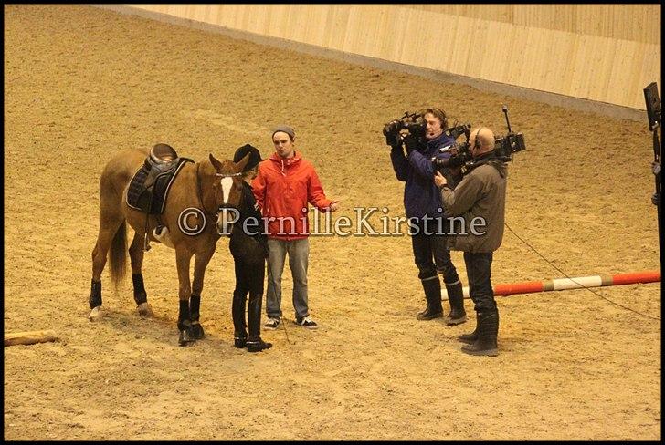 RAMASJANG LIVE PÅ VILHELMSBORG .. billede 130