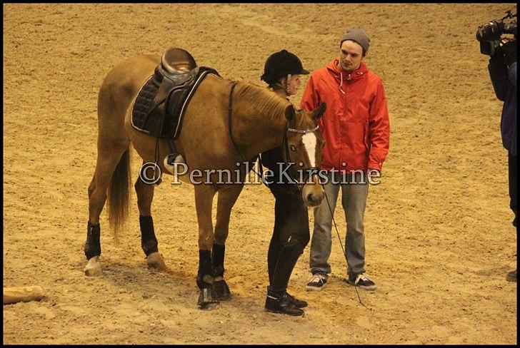 RAMASJANG LIVE PÅ VILHELMSBORG .. billede 131
