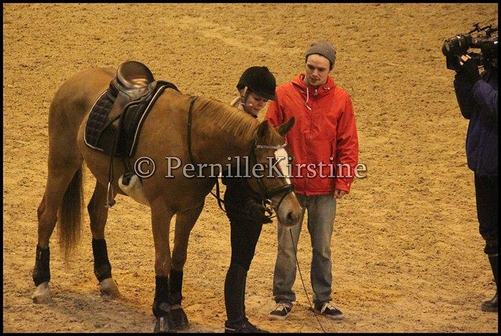 RAMASJANG LIVE PÅ VILHELMSBORG .. billede 132