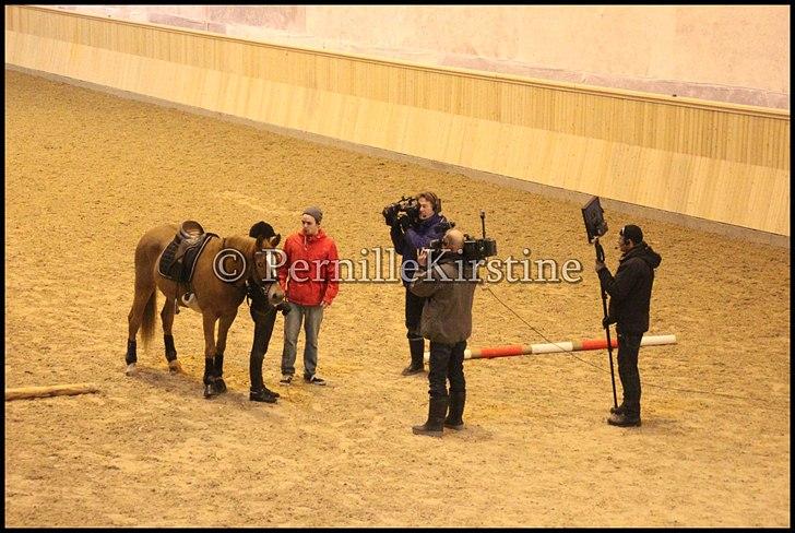 RAMASJANG LIVE PÅ VILHELMSBORG .. billede 134