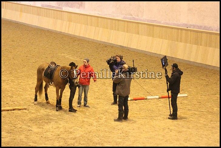 RAMASJANG LIVE PÅ VILHELMSBORG .. billede 135