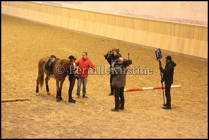 RAMASJANG LIVE PÅ VILHELMSBORG .. billede 136