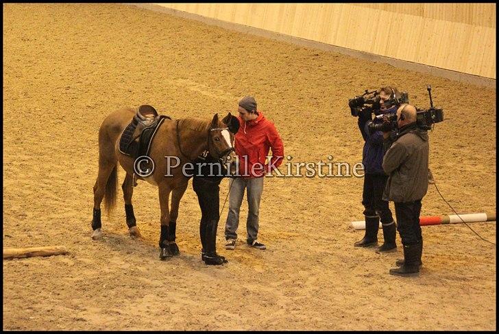 RAMASJANG LIVE PÅ VILHELMSBORG .. billede 137