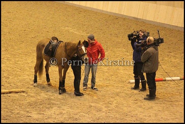 RAMASJANG LIVE PÅ VILHELMSBORG .. billede 138