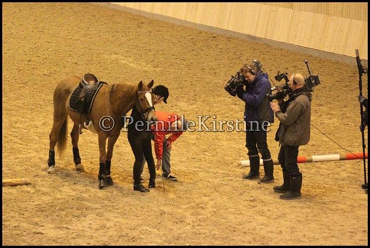 RAMASJANG LIVE PÅ VILHELMSBORG .. billede 139