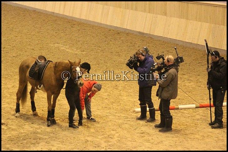 RAMASJANG LIVE PÅ VILHELMSBORG .. billede 140