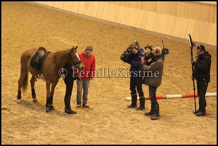 RAMASJANG LIVE PÅ VILHELMSBORG .. billede 141