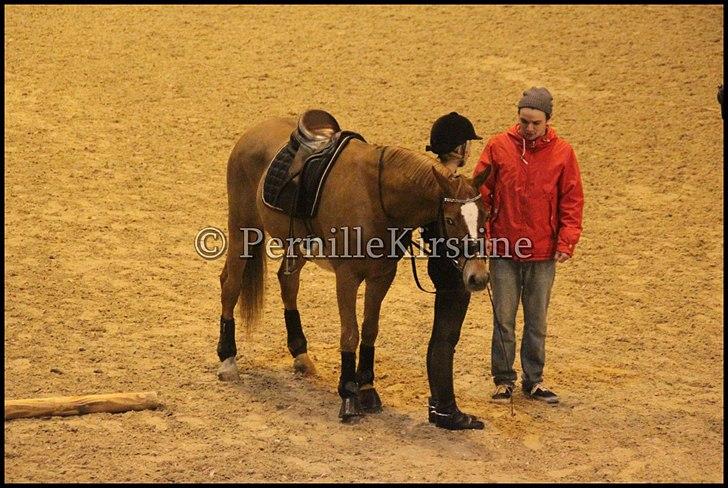 RAMASJANG LIVE PÅ VILHELMSBORG .. billede 142
