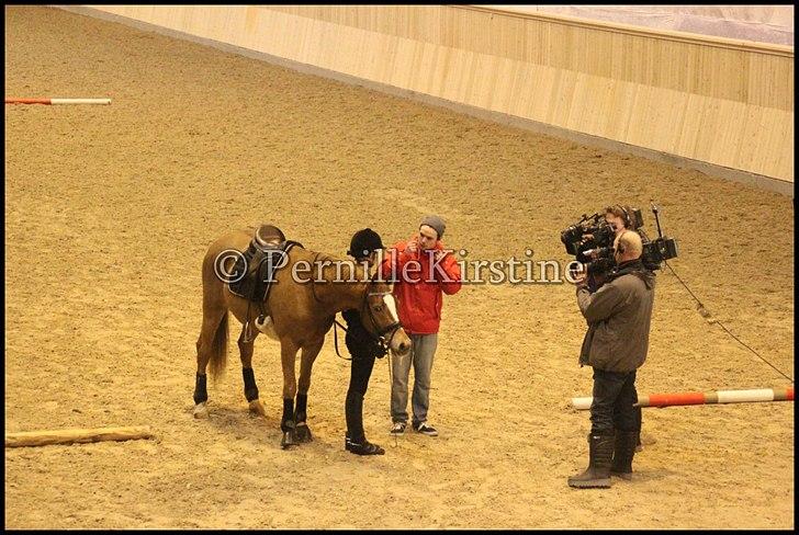 RAMASJANG LIVE PÅ VILHELMSBORG .. billede 143