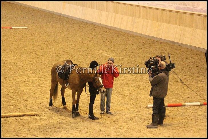 RAMASJANG LIVE PÅ VILHELMSBORG .. billede 144